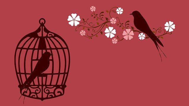 birdcage with a bird inside and another bird outside the cage.